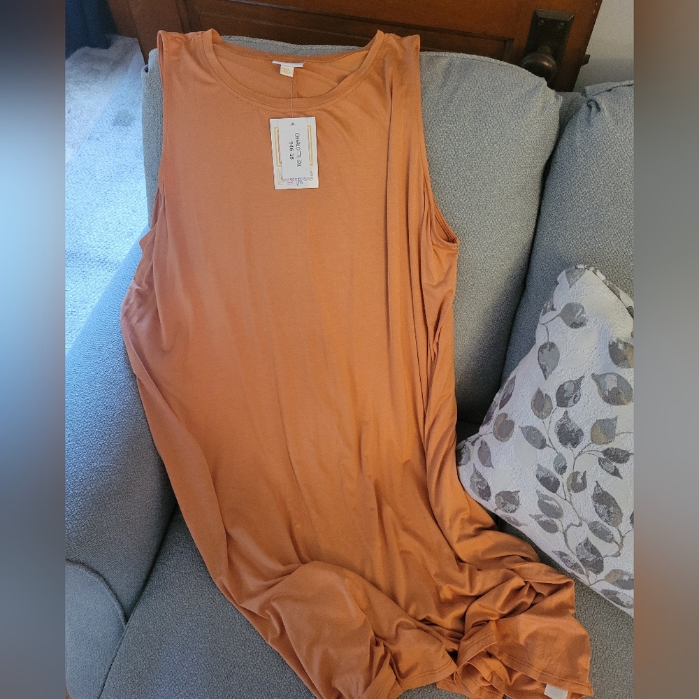 LuLaRoe Charlotte Dress
